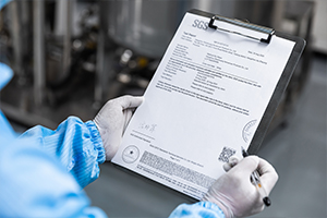 4Inspection Report Issuance.jpg